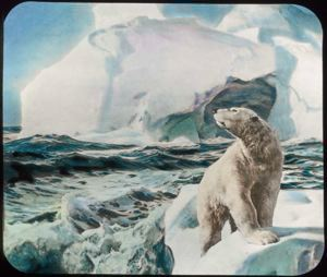 Image of Polar Bear on drift ice (From painting by Frederick Waugh)